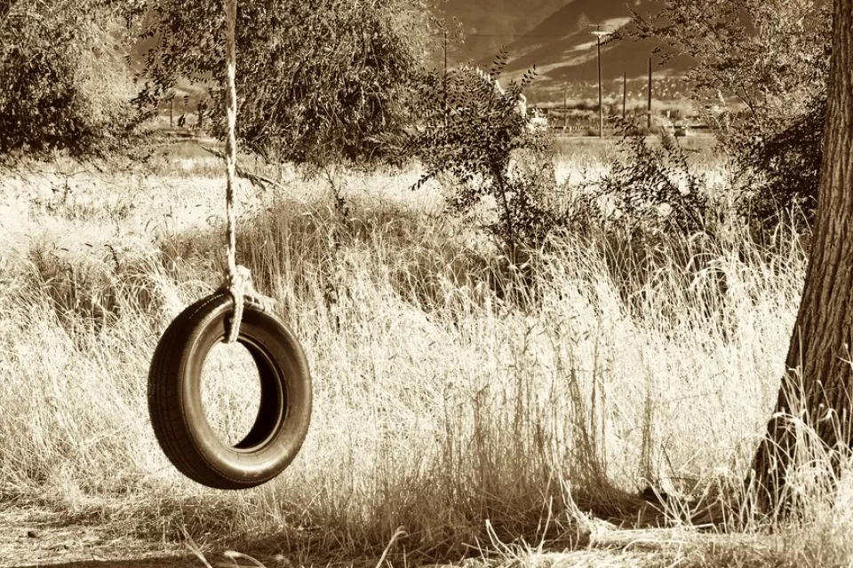 Child's swing made out of a tire and rope hanging from a tree in